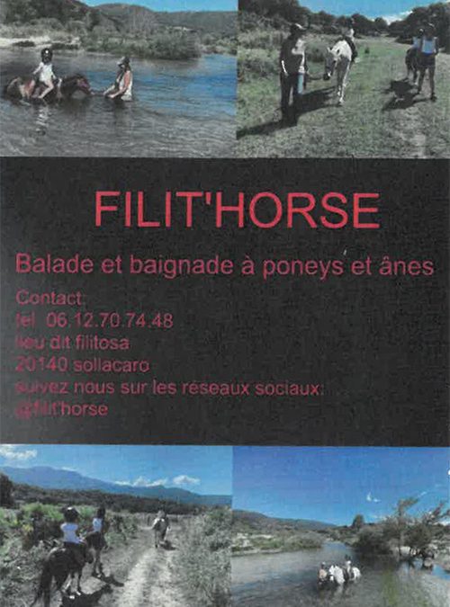 Filit’horse
